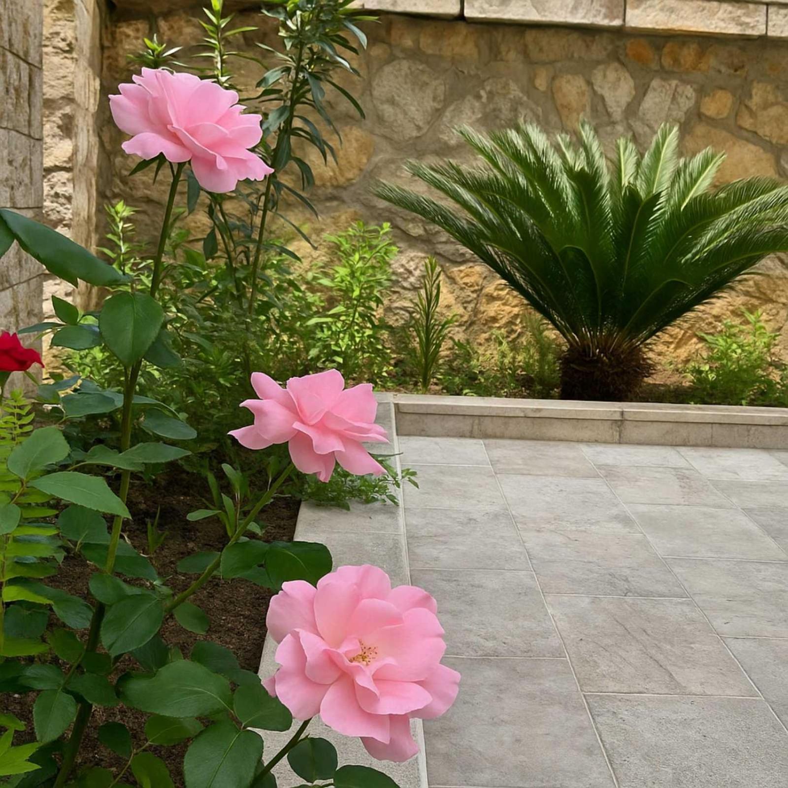 Apartments Villa Mirjana Будва Екстер'єр фото